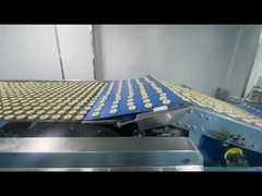 ইস্পাত বেল্ট চুলা খাদ্য শিল্পের জন্য