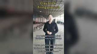 কাদামাটি ইট ফায়ারিং প্রক্রিয়ার জন্য টানেল ভাটা